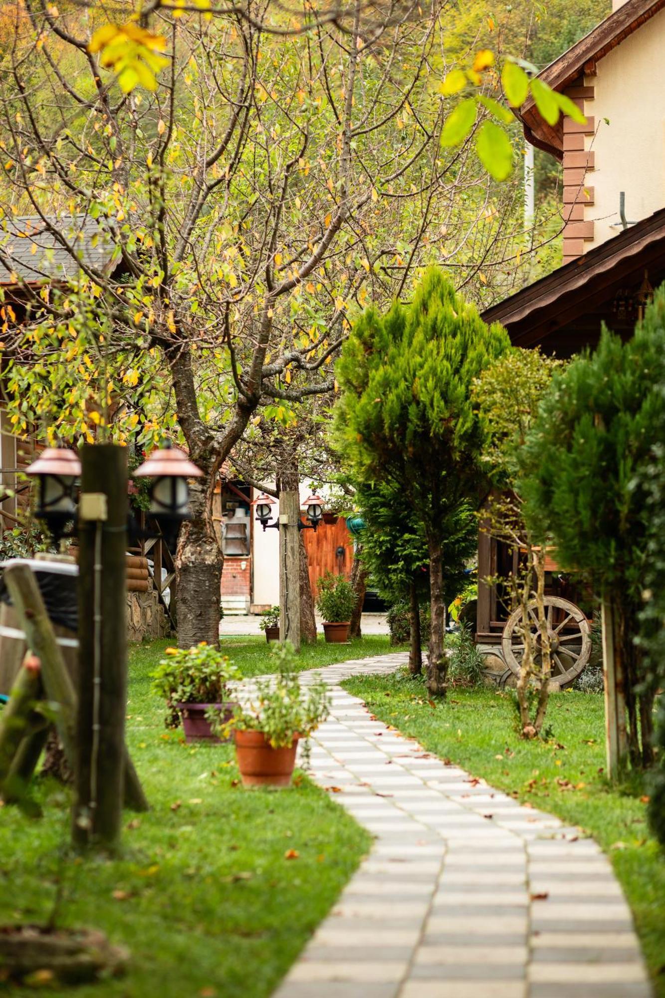 Abant Doga Koeskue Bed and Breakfast Bolu Εξωτερικό φωτογραφία